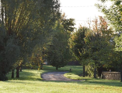 Turning Times and Let’s Talk Times